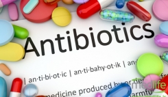 آنتی‌بیوتیک‌های طبیعی را جایگزین دارو کنید