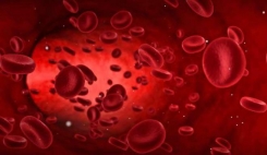 Superblood  امیدی جدید برای درمان سرطان های مرگبار