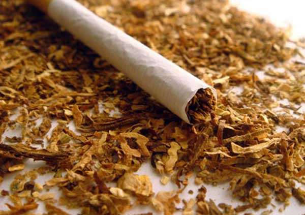تنباکوهای معطر در بروز سرطان نقش جدی ایفا می کند