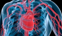 دستورالعمل جدید سازمان جهانی بهداشت برای بیماری قلبی
