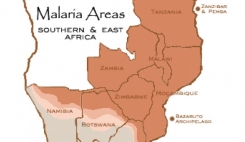 تعهد Novartis برای ریشه کن کردن مالاریا در جنوب صحرای آفریقا