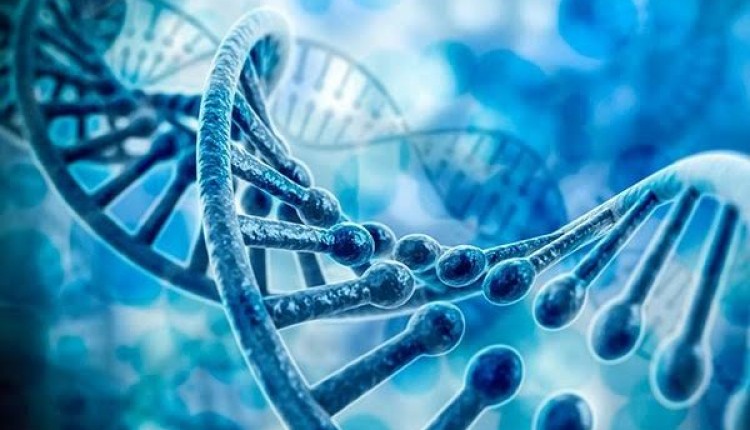 درمان برخی بیماری‌های ژنتیکی با ژن‌تراپی