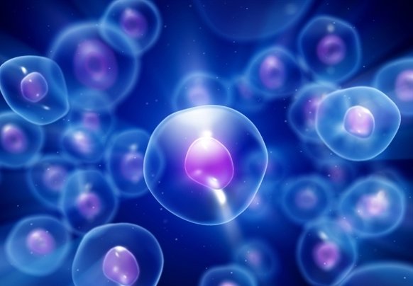 نقش سلول‌های بنیادی در باروری کودکان مبتلا به سرطان