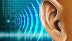 ۳۸۰ میلیون نفر در جهان گرفتار ضایعه حسی شنوایی هستند