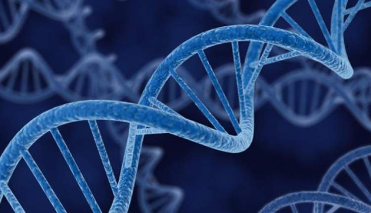 شیوه نوین ژن درمانی برای درمان بیماری مزمن کلیوی