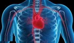 وضعیت تامین داروهای قلب و عروق در شرایط تحریم کشور