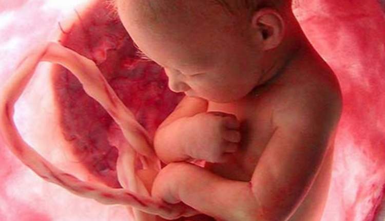 بررسی تاثیر تغییرات جریان خون رحمی در سقط مکرر