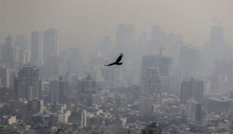 تاثیر منفی آلودگی هوا بر هوش شناختی