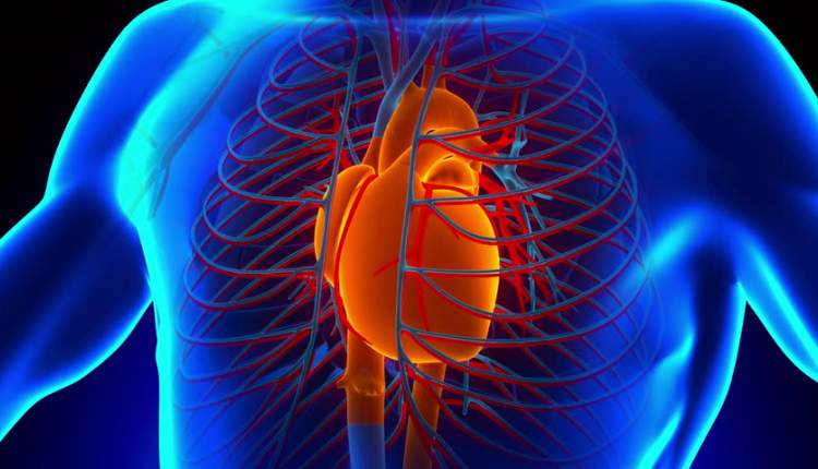 چقدر احتمال دارد تا 10 سال آینده بیماری قلبی بگیرید؟