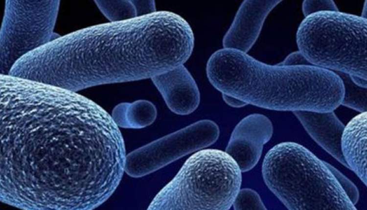 آشنایی با شیوه جدید نابودی باکتری های مقاوم به درمان
