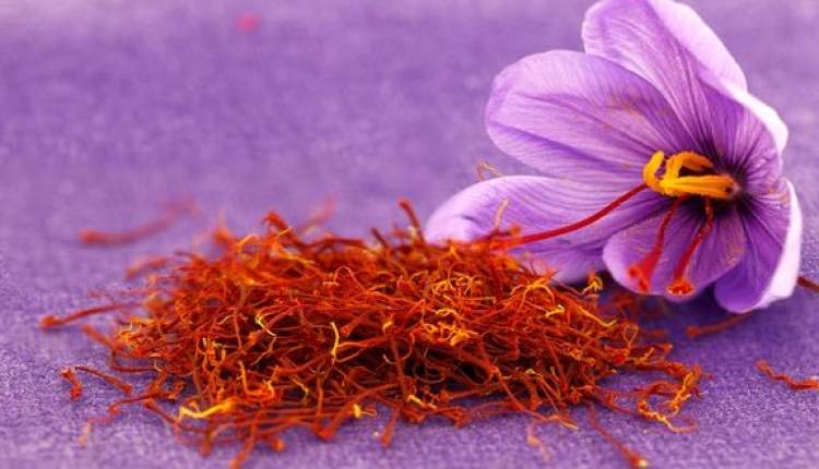 تولید قرص زعفران برای مهار سلول‌های سرطانی