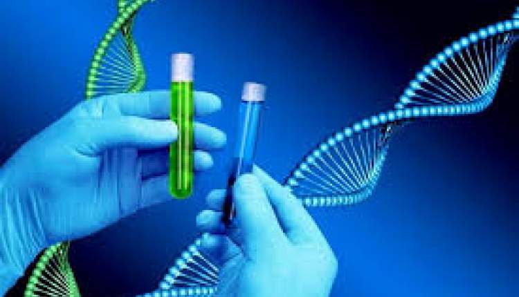 ژن درمانی شیوه ای جدید برای بهبود علائم پارکینسون