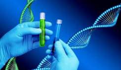 ژن درمانی شیوه ای جدید برای بهبود علائم پارکینسون