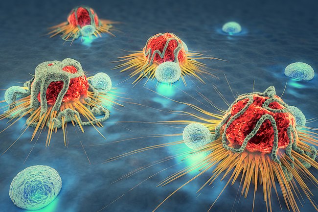 محدودیت رشد سلول‌های سرطانی