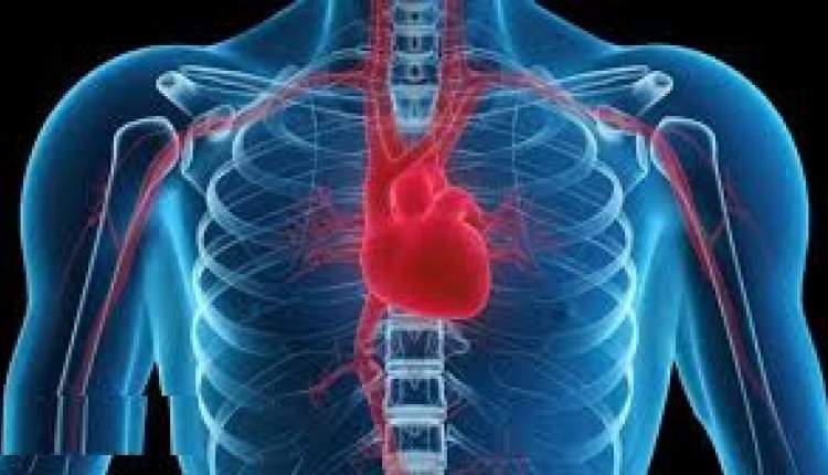 مرخصی کاری ریسک بیماری های قلبی را کاهش می دهد