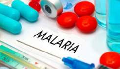 پاشنه آشیل مالاریا بالاخره کشف شد