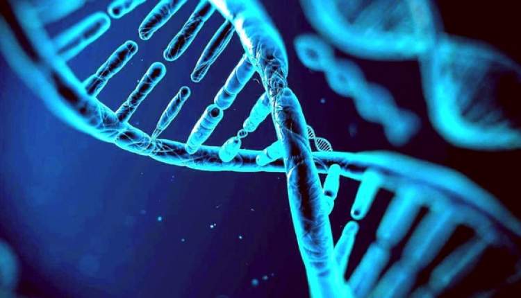 ژن درمانی به کمک درمان بیماران هموفیلی می آید