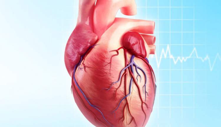 ۳۰ درصد از سکته‌های مغزی ناشی از نامنظمی‌های ضربان قلب است