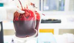 تولید خون مصنوعی برای همه گروه‌های خونی در ژاپن