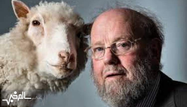 پدیدآورندگان گوسفند دالی به دنبال درمان کرونا