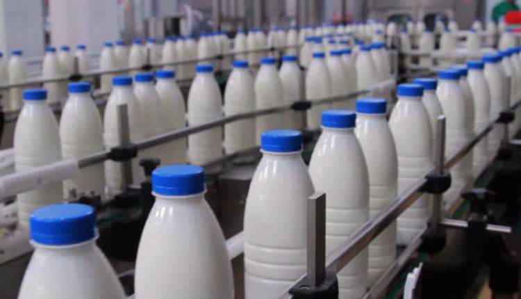 شیرهای برگشتی کارخانه‌های لبنیات به ماست‌بندی‌های سنتی منتقل می‌شود