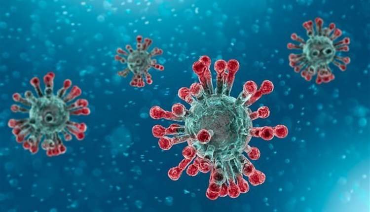 کشف نوع جهش یافته ویروس کرونا