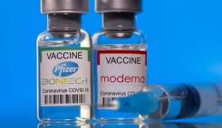 اجازه واردات واکسن فایزر و مدرنا از منابع مجاز صادر شد