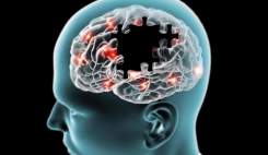 دانشمندان علت پیشرفت آلزایمر در مغز را کشف کردند