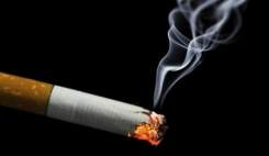 مصرف دخانیات در مردان حدود ۱۰ درصد کاهش یافته است