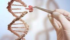 اجرای پایلوت پیشگیری از سرطانهای ارثی در کشور اجرای پایلوت پیشگیری از سرطانهای ارثی در کشور