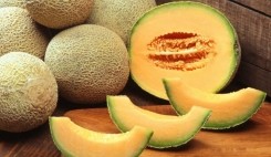 طالبی آلوده در استرالیا قربانی گرفت