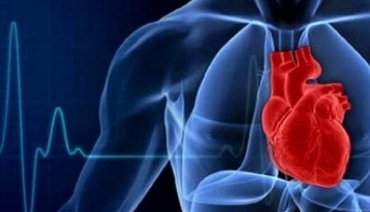 تاثیر گروه خونی در بروز بیماری های قلبی