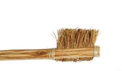 جوانان اروپایی به مُزوانک؛ مسواک بلوچی روی آورده اند جوانان اروپایی به مُزوانک؛ مسواک بلوچی روی آورده اند