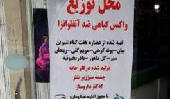 این واکسن دست‌ساز کذایی دردی درمان نمی‌کند