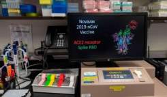 نوواکس Novavax اولین آزمایش واکسن کروناویروس را بر روی انسان انجام داد
