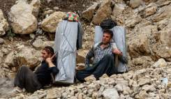 سازمان غذا و دارو با کولبران همکاری نمی‌کند