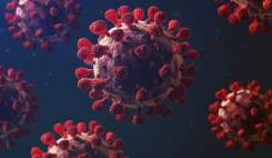 سازمان بهداشت جهانی نشت ویروس کرونا از ووهان را منتفی دانست