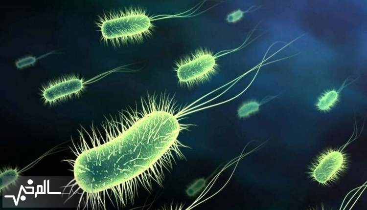 شیوع بیماری وبا برای نخستین بار در استان های غربی کشور