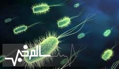 شیوع بیماری وبا برای نخستین بار در استان های غربی کشور