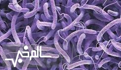 ۵ مورد ابتلا قطعی به وبا در ایران شناسایی شد