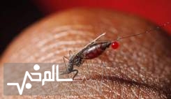 شمار مبتلایان مالاریا در سیستان و بلوچستان به ۱۱۶۹ نفر رسید