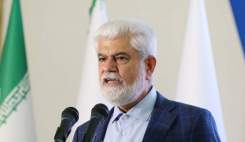مسوولان وزارت بهداشت باید راهکارهای لازم برای اجرای پزشکی خانواده را ارائه دهند
