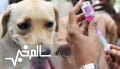 تجویز داروی ضدانگل برای سگ‌های خانگی الزامی است