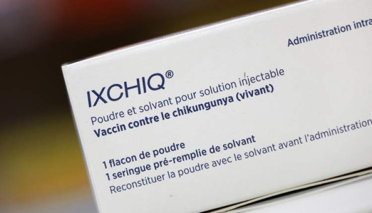 تعلیق مجوز واکسن چیکونگونیا از سوی FDA؛ نگرانی‌ها از عوارض جدی در سالمندان