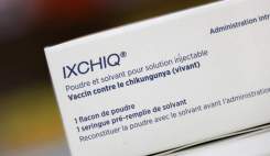 تعلیق مجوز واکسن چیکونگونیا از سوی FDA؛ نگرانی‌ها از عوارض جدی در سالمندان