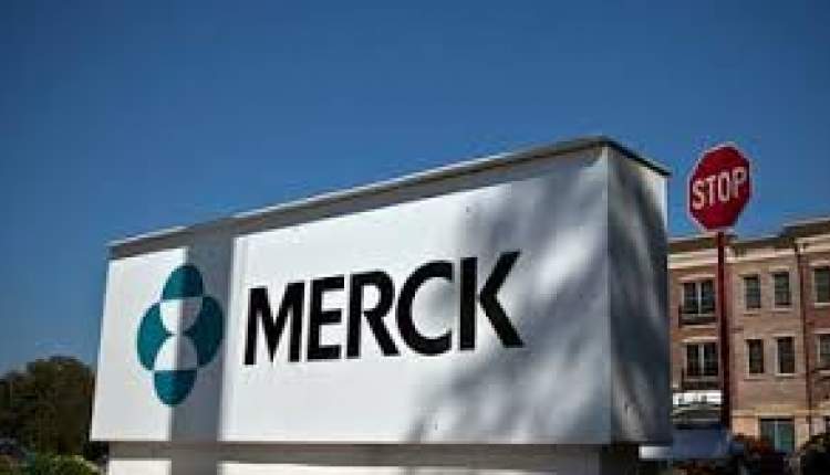 واکسن جدید مرک Merck؛ امید تازه برای پیشگیری از بیماری‌های شدید پنوموککی