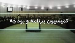 نظام ارجاع و کمبودهای دارویی؛ گزارش‌ وزیر بهداشت روی میز کمیسیون بودجه!