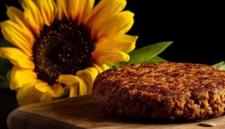 طلوع گوشت آفتابگردانی؛ انقلابی گیاهی در دنیای فستفودهای بدون گوشت طلوع گوشت آفتابگردانی؛ انقلابی گیاهی در دنیای فستفودهای بدون گوشت