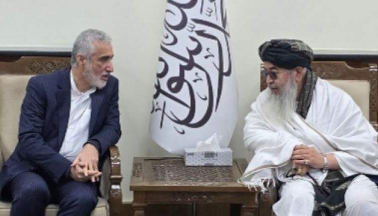 رییس سازمان غذا و دارو وارد کابل شد/همکاری‌های دارویی و بهداشتی در دستور کار