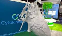 FDA نخستین داروی قلبی Cytokinetics را تأیید کرد؛ درمان هدفمند برای یک بیماری نادر